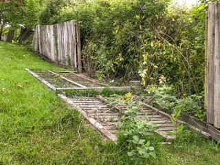 Wooden garden fence panel on the ground after being blown over by the strong winds of a storm