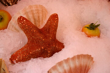 sea food