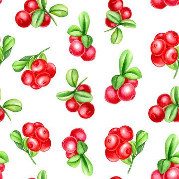 seamless pattern of  lingonberries, watercolor drawing