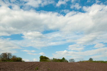 Obraz premium Plowed field in spring against the blue sky and white clouds