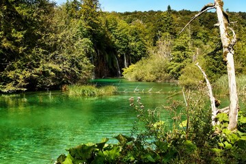 Landscape of waterfall and turquoise lake in the forest. Plitvice Lakes National Park. Nacionalni park Plitvicka Jezera, one of the oldest and largest national parks in Croatia. UNESCO World Heritage.