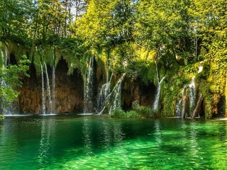 Obraz premium Landscape of waterfall and turquoise lake in the forest. Plitvice Lakes National Park. Nacionalni park Plitvicka Jezera, one of the oldest and largest national parks in Croatia. UNESCO World Heritage.