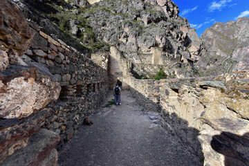Ollantaytambo Ruins 85
