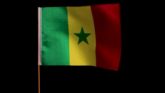 The national flag of Senegal on a wooden pole flutters in the wind, on a black background