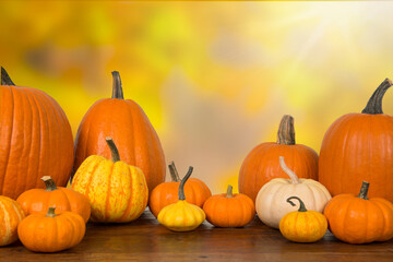 Group of pumpkins on a bright autumn background