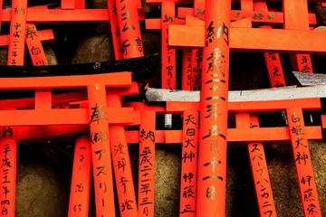 Poster red torii gates © Cody