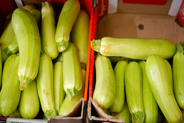 Fresh green zucchini in cardboard boxes in market. Close up shot.