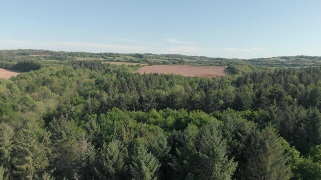 Aerial drone view of evergreen trees and meadows in England countryside