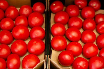 Fresh and raw tomatoes beautifuly sorted out in two cardboard boxes, top view, close up shot.