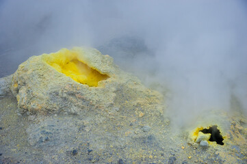 Fumaroles - outlets of hot volcanic gas and steam. 