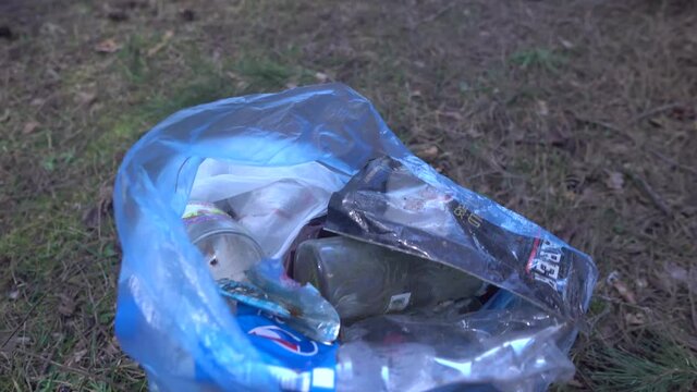 A girl collects garbage in the forest. Environmental pollution. A volunteer removes garbage. cleansing of the nature from plastic.