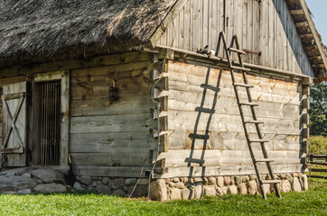 Wooden ladder leaning on a hut in the country