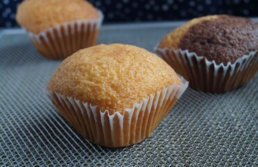 Muffins - delicious pastries