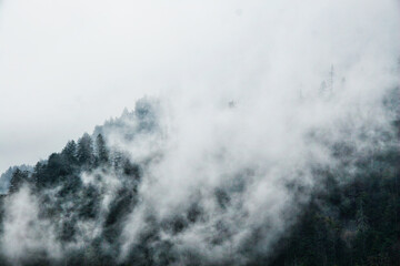 Obraz na płótnie Canvas Mountain Clouds at Newfound Gap, Smoky Mountains National Park, Tennessee, USA