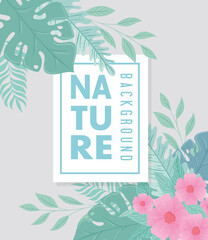background, tropical nature leaves with flowers of pastel color vector illustration design