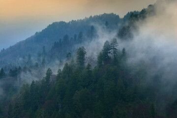 Mountain Clouds at Newfound Gap, Smoky Mountains National Park, Tennessee, USA
