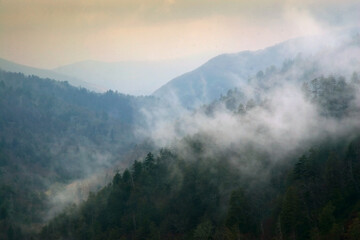 Fototapeta premium Mountain Clouds at Newfound Gap, Smoky Mountains National Park, Tennessee, USA