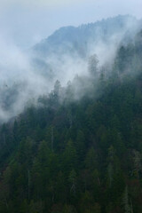 Mountain Clouds at Newfound Gap, Smoky Mountains National Park, Tennessee, USA
