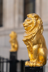 Gilded golden lions sitting on top of the metal railings outside the Law Society at Chancery Lane, London, England - 3