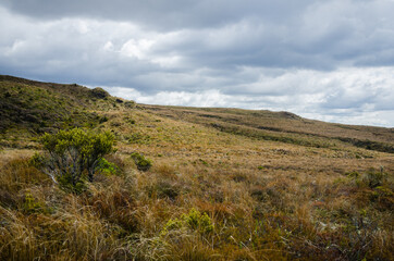 Fototapeta na wymiar Tongariro National Park, New Zealand