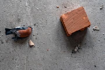 снегирь птица, 