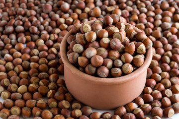Natural hazelnuts in natural ceramic pot on the white with others.Close up taken