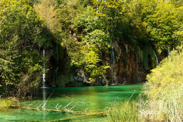 Landscape of waterfall and turquoise lake in the forest. Plitvice Lakes National Park. Nacionalni park Plitvicka Jezera, one of the oldest and largest national parks in Croatia. UNESCO World Heritage.