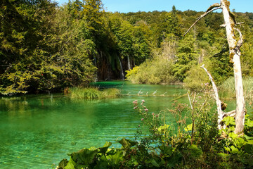 Plitvice Lakes National Park, Croatia. Nacionalni park Plitvicka Jezera, one of the oldest and largest national parks. UNESCO World Heritage. View from above on turquoise lakes in rock valley.
