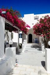 Building of hotel in traditional Greek style and Bougainvillea flowers, Santorini island, Greece