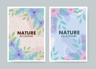 set of background tropical and flowers with leaves pastel color vector illustration design