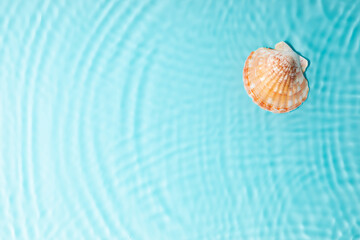 Obraz na płótnie Canvas Water background. Blue water texture, surface of blue swimming pool and shells. Spa concept background. Flat lay, top view, copy space