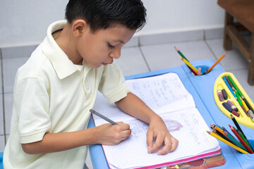 Niño haciendo tarea a distancia 