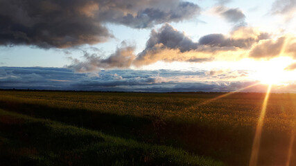sunset nature sunbeam over spring or summer field