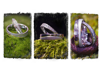 Men's and women's wedding rings on a white background.