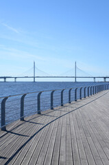 Cable bridge in Saint Petersburg.