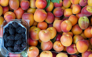Organic Fruit Mulberry and Apricot