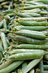 Fototapeta premium Organic Raw Vegetable Pea