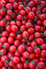 Organic Vegetable Juicy Tomato in Grocery