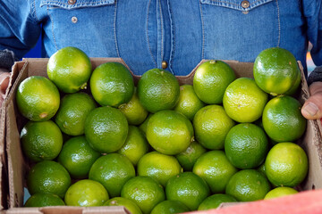 Organic Vegetable Lime Lemon