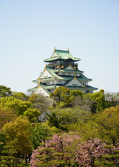 Osaka castle with trees and sakura in sunny day