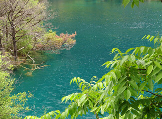 Rain drops on the blue and green lake with tree around