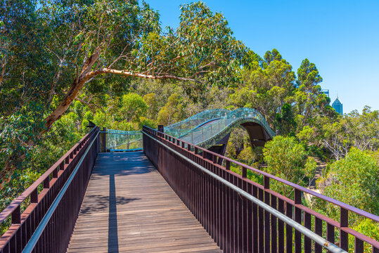 Kings Park Images Browse 1 292 Stock Photos Vectors And Video Adobe Stock
