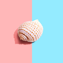 Summer concept with a seashell overhead view - flat lay