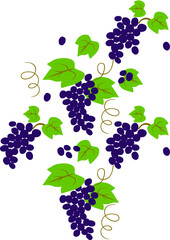 Seamless pattern wiht abstract grapes.