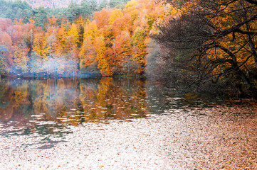 Yedigoller National Park, Autumn views. Bolu, Turkey.
