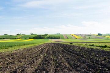 Landscape with spring fields under rhe blue sky. - 355298201