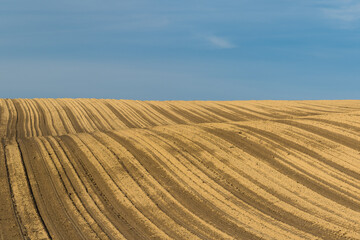Landscape with furrows in a field located on the hill under the blue sky.