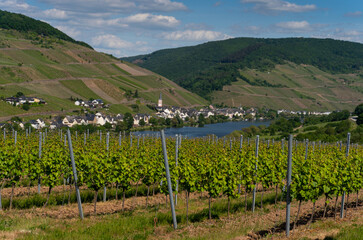 With the bike on the cycle path through the countryside along the river Moselle in...