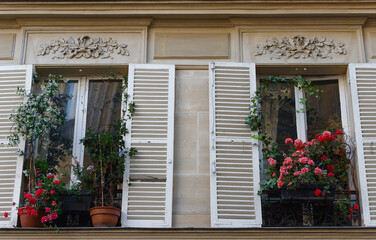 Paris windows with flowers on Montmartre street.Paris.