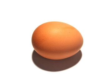One brown egg on a white background.